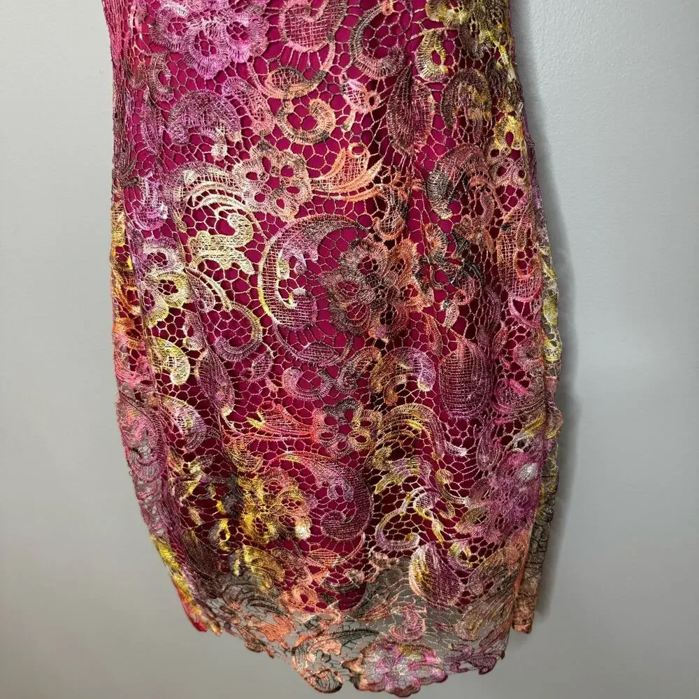 Belle Badgley Mischka Lace Pink Floral Ombre Dress Women's 8 - Picture 6 of 13